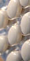 Sant & laboratoires 