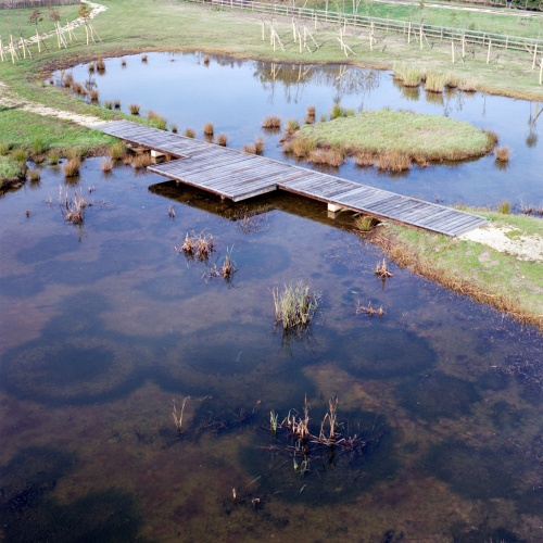 Terres d�oiseaux : image_projet_mini_103946