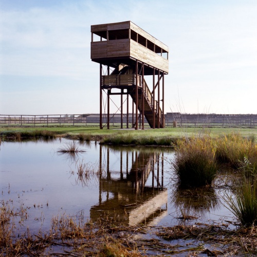 Terres d�oiseaux : image_projet_mini_103947