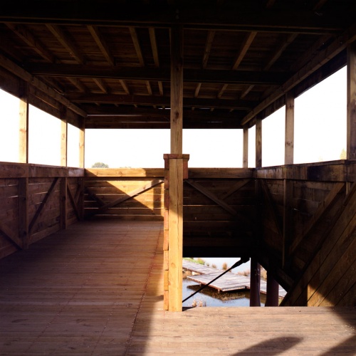 Terres d�oiseaux : image_projet_mini_103948