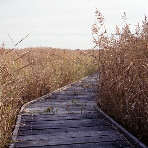 Terres d�oiseaux : image_projet_mini_103949