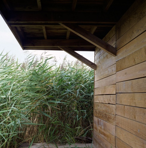 Terres d�oiseaux : terres-oiseaux-15