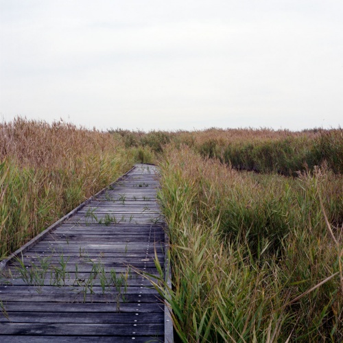 Terres d�oiseaux : terres-oiseaux-19