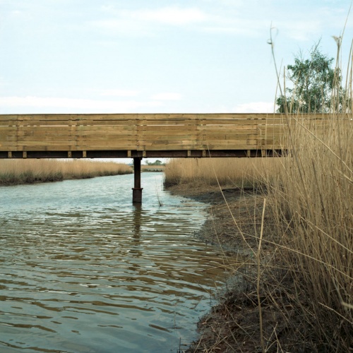 Terres d�oiseaux : terres-oiseaux-9