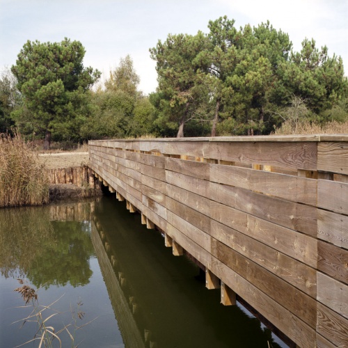 Terres d�oiseaux : terres-oiseaux-10