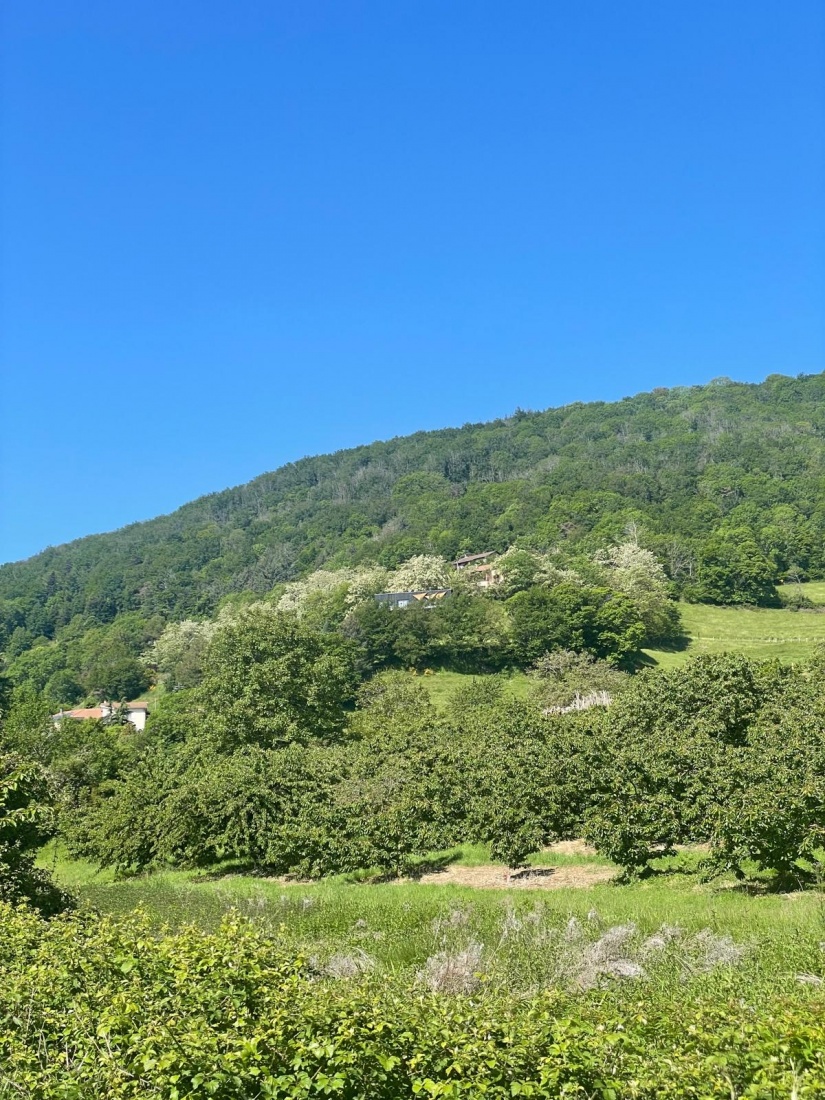 Maison suspendu : Exterieur 4