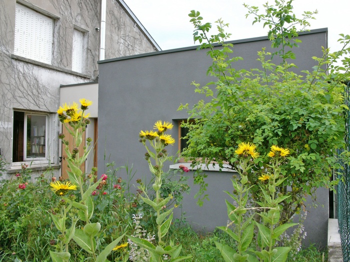 R�novation et extension �cologique tr�s haute performance �nerg�tique. : Fa�ade arri�re