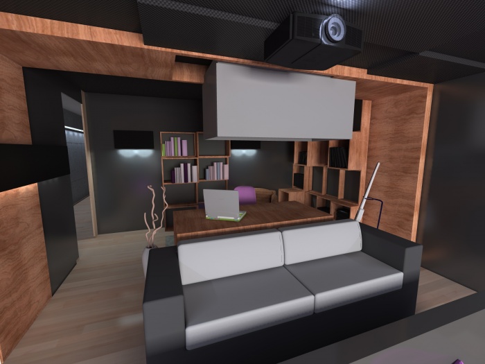 PRIVATE HOME... home_CINEMA