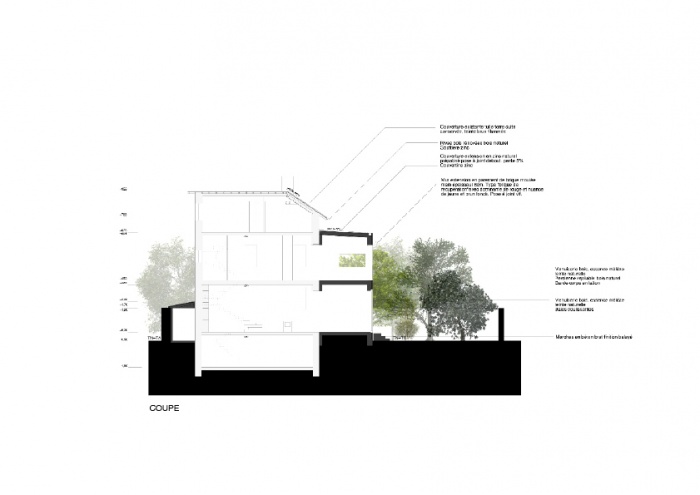 Rhabilitation complte et extension d'une maison de ville  Lyon (69008) : COUPE