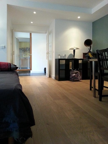 amnagement d'un appartement (Lyon, Rhne)